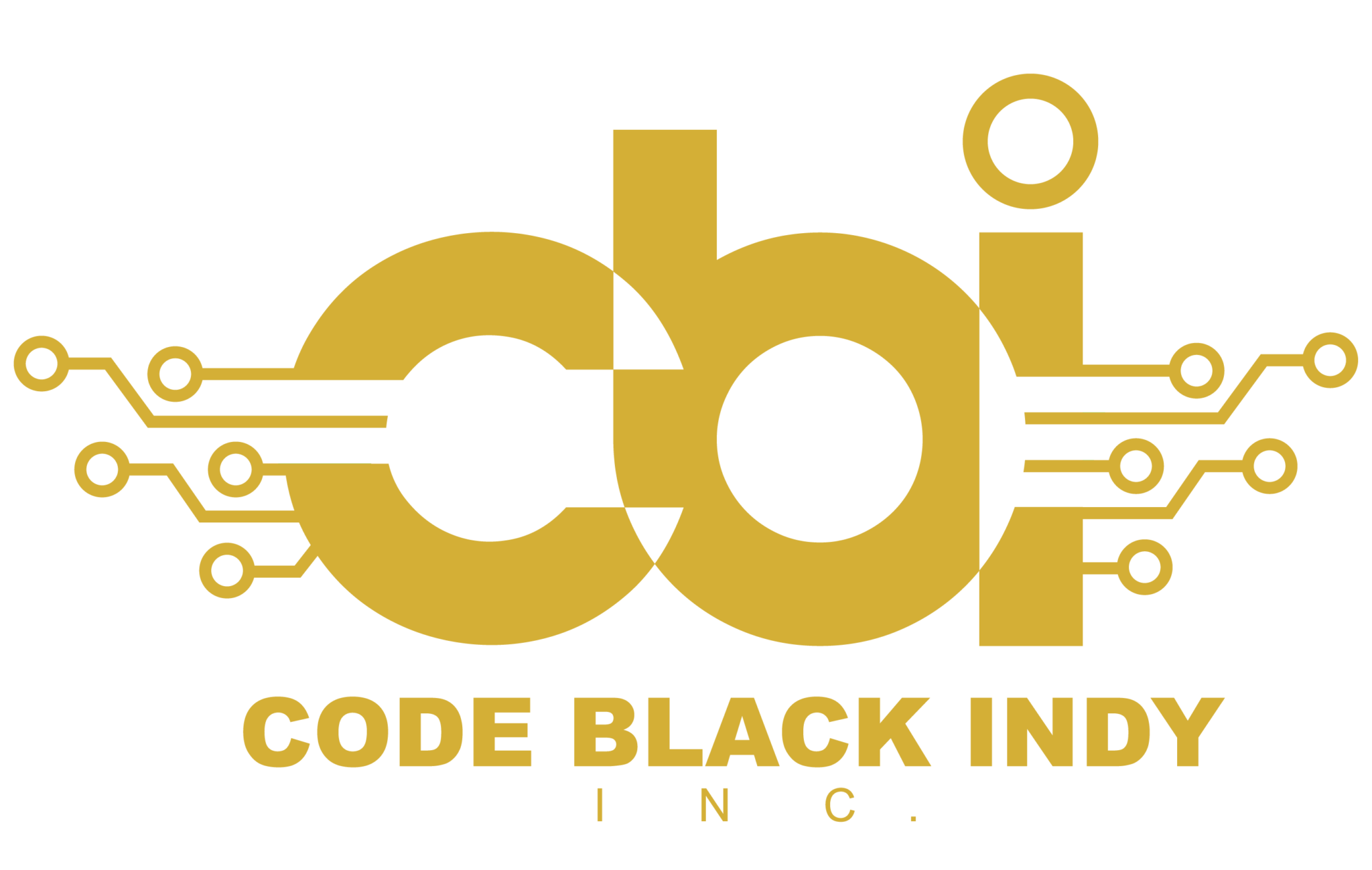 Services and programs code black indy inc 